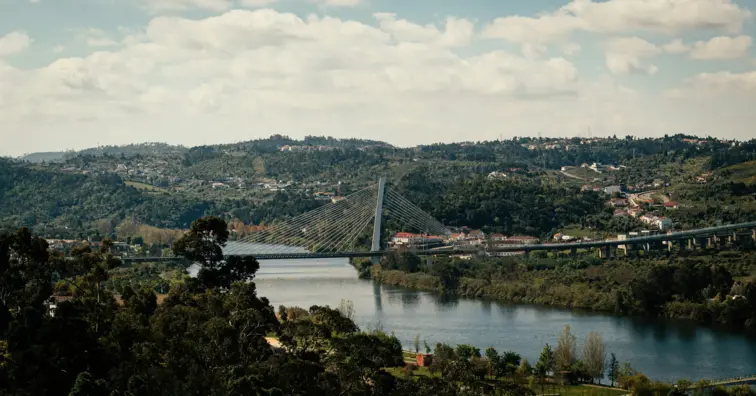 rio mondego